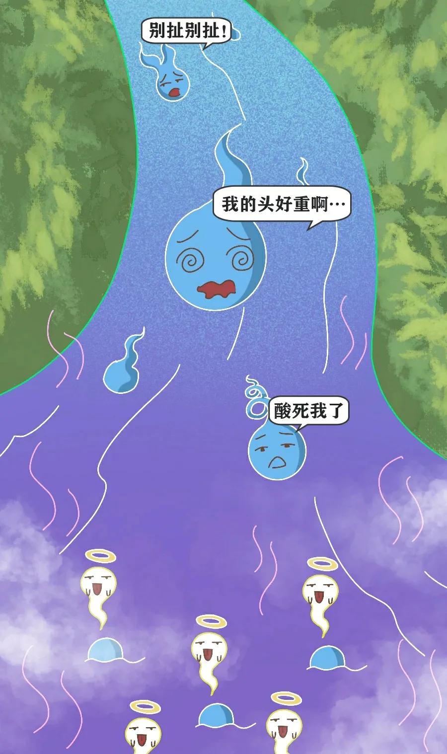 精子进入人体12小时变化,精子着床后身体变化