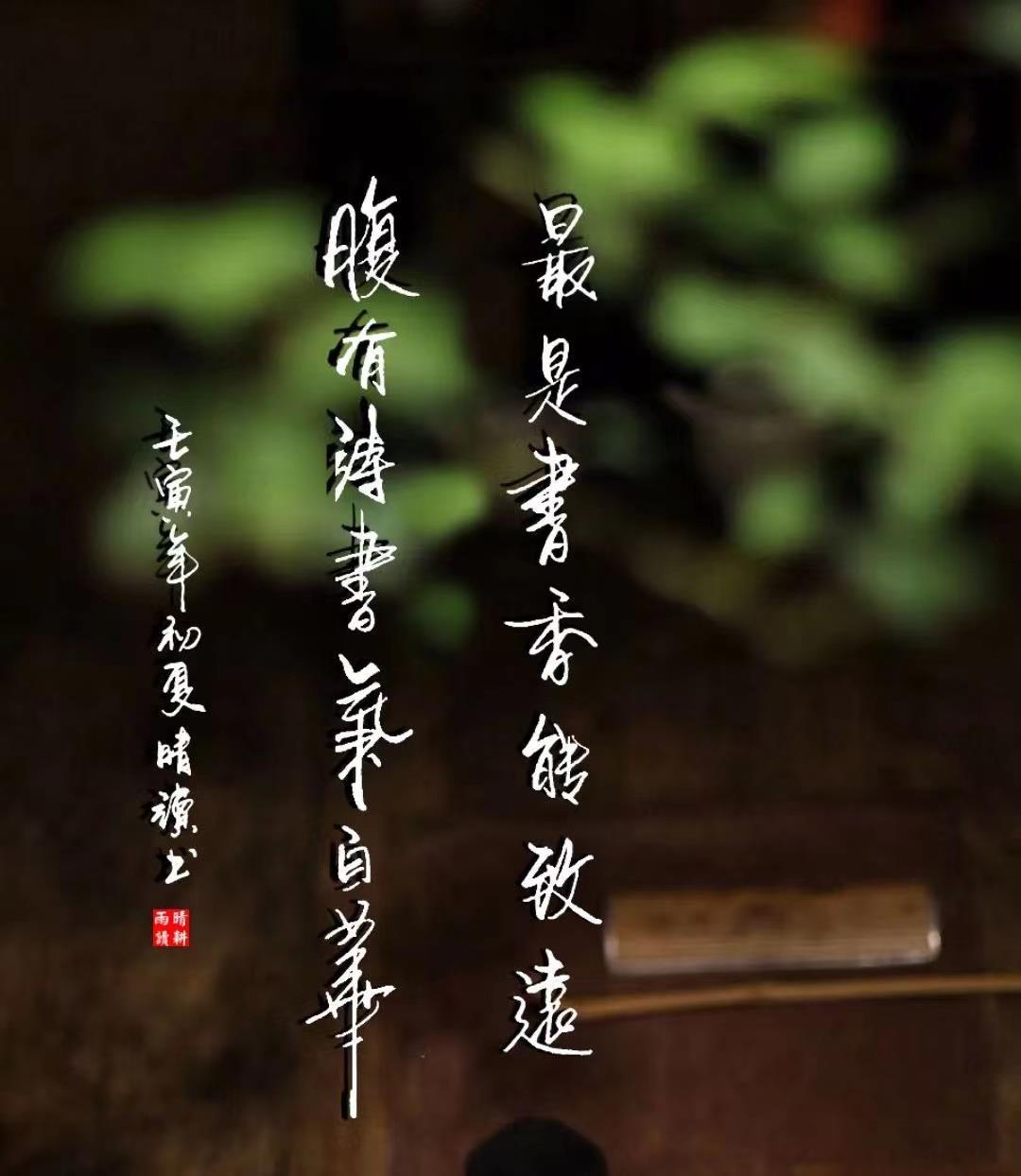 什么是所谓的自由,什么是自由的感悟