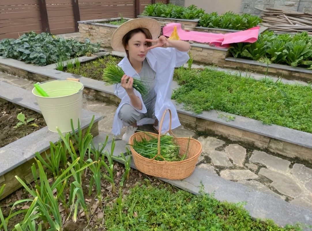 张馨予坎坷情史成功逆袭吴卓羲,吴卓羲张馨予挺般配的