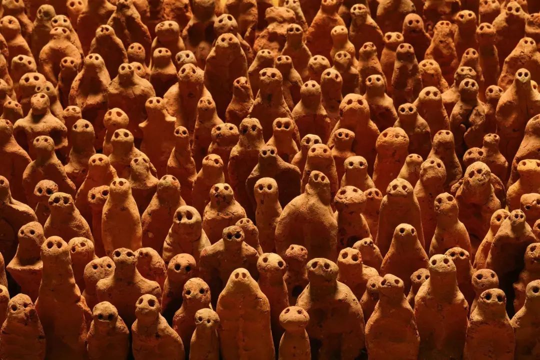 最极致的体型,世界最高身材