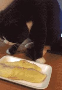 老婆包里发现的卡,老婆牙疼的特效药