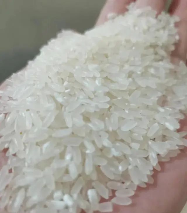 网上买的五常大米能放心吃吗 (制止假的五常大米我们该怎么做)