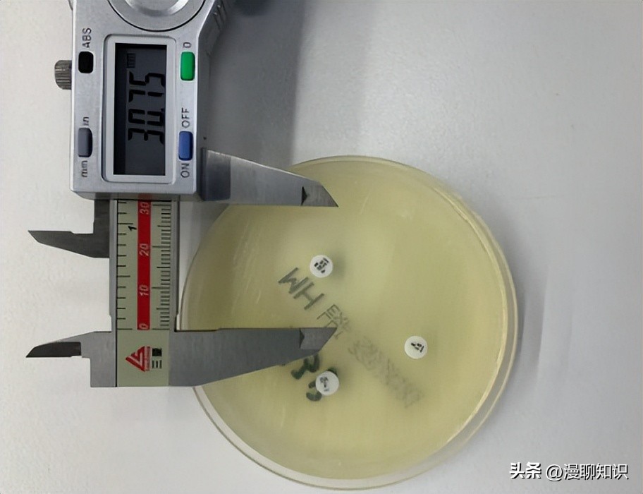 细菌是种类最广泛的畜禽微生物，如何将病毒与之分离