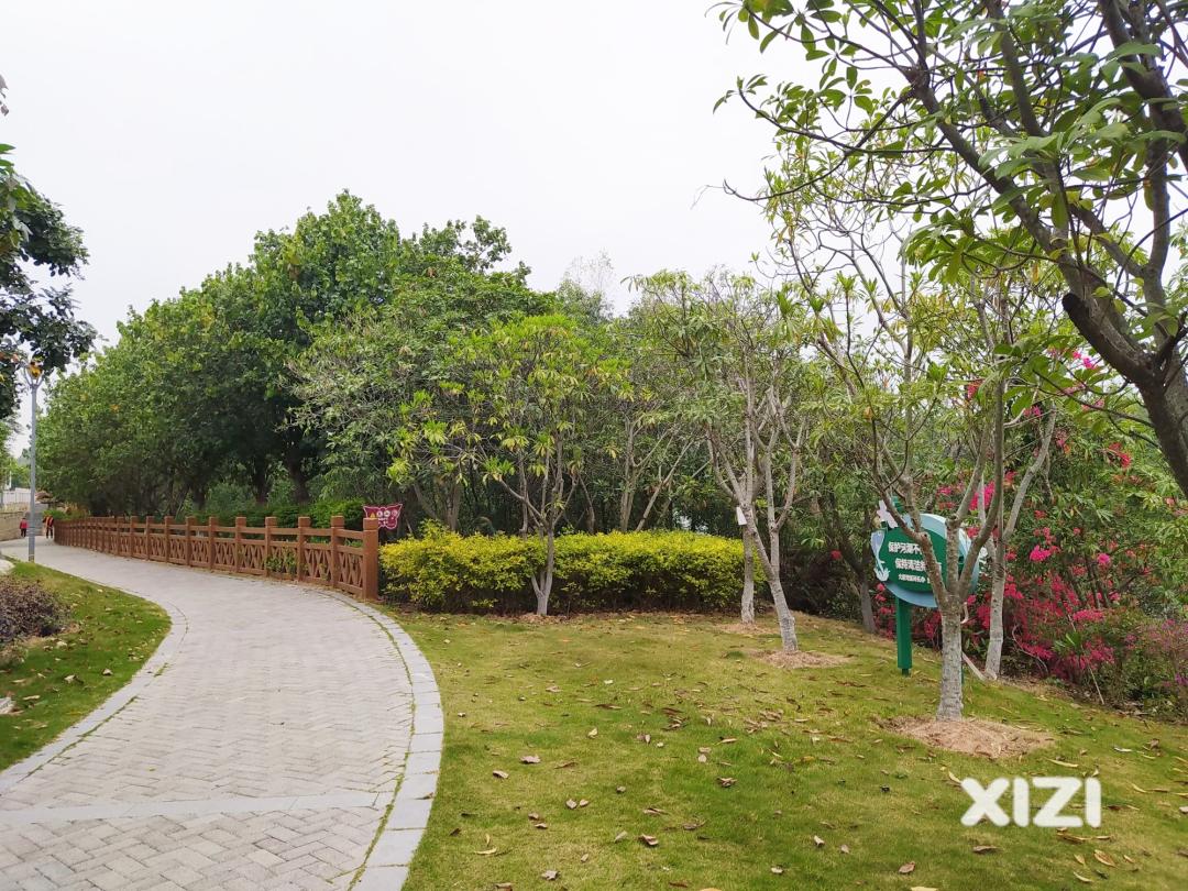 惠州周边踏青好去处推荐来啦,惠州18公里环湖绿道攻略