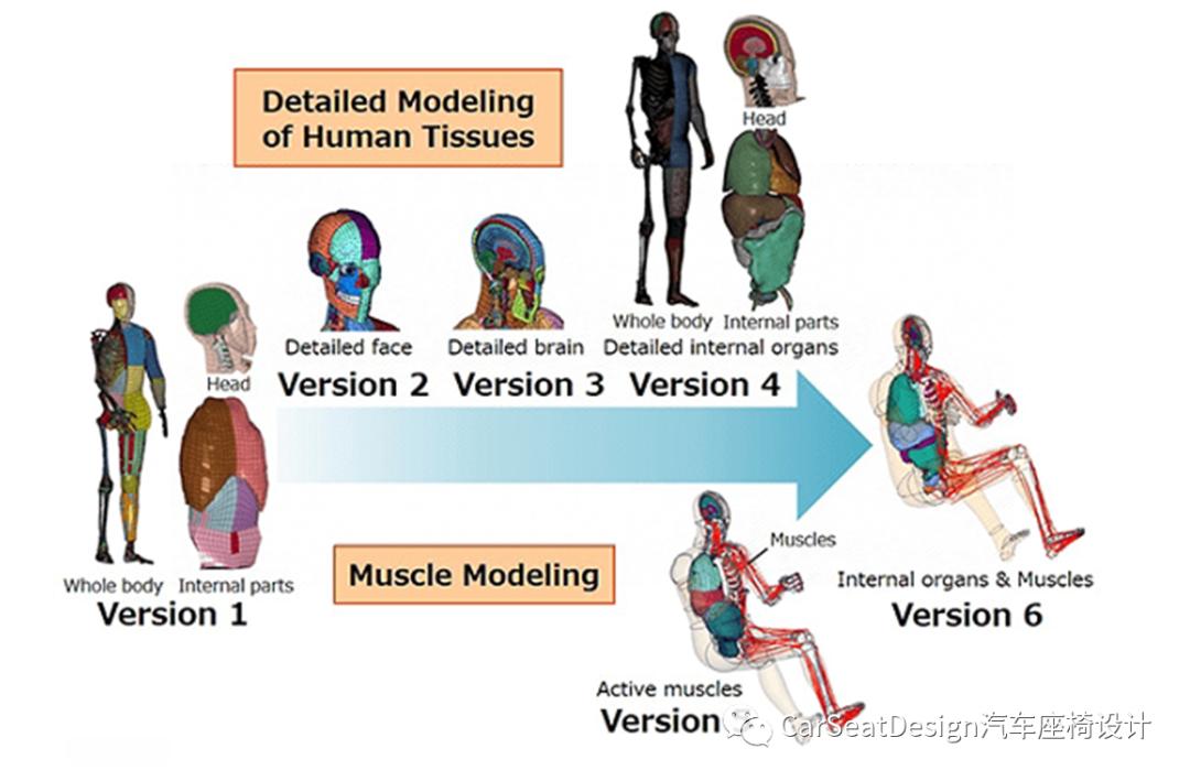 丰田改进THUMS软件程序，分析自动驾驶时躺姿状态的人体碰撞伤害