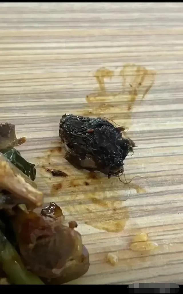 闹大了！“老鼠头事件”，教育厅出马，会不会有人已经瑟瑟发抖？