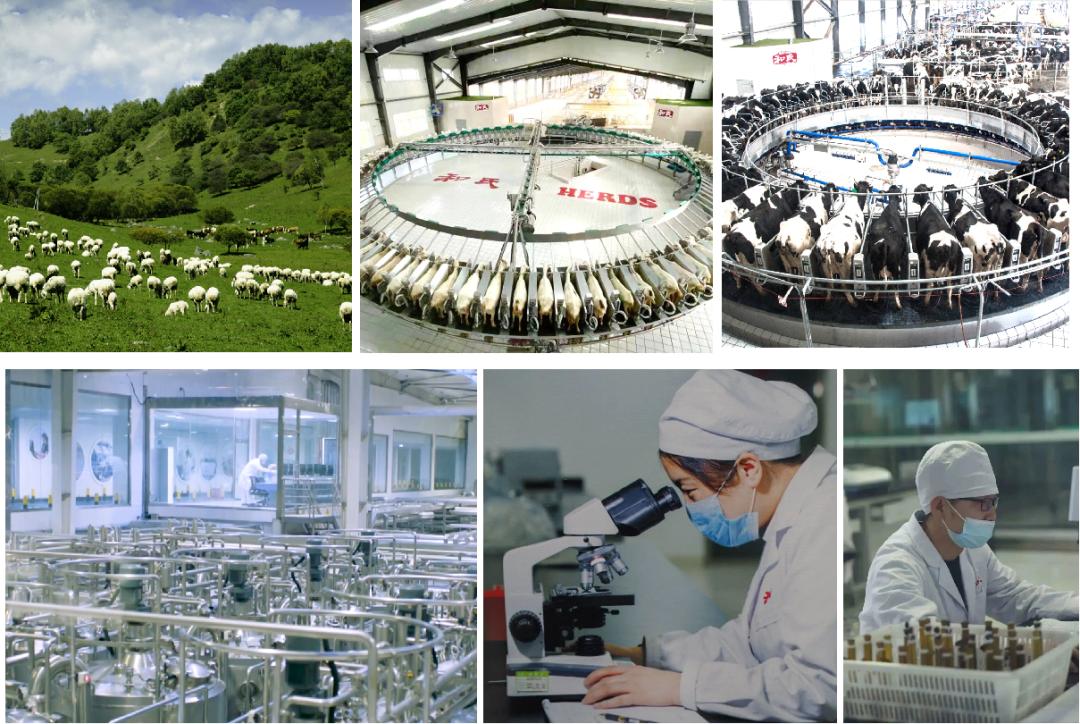 全国十强羊奶粉,全国羊奶粉