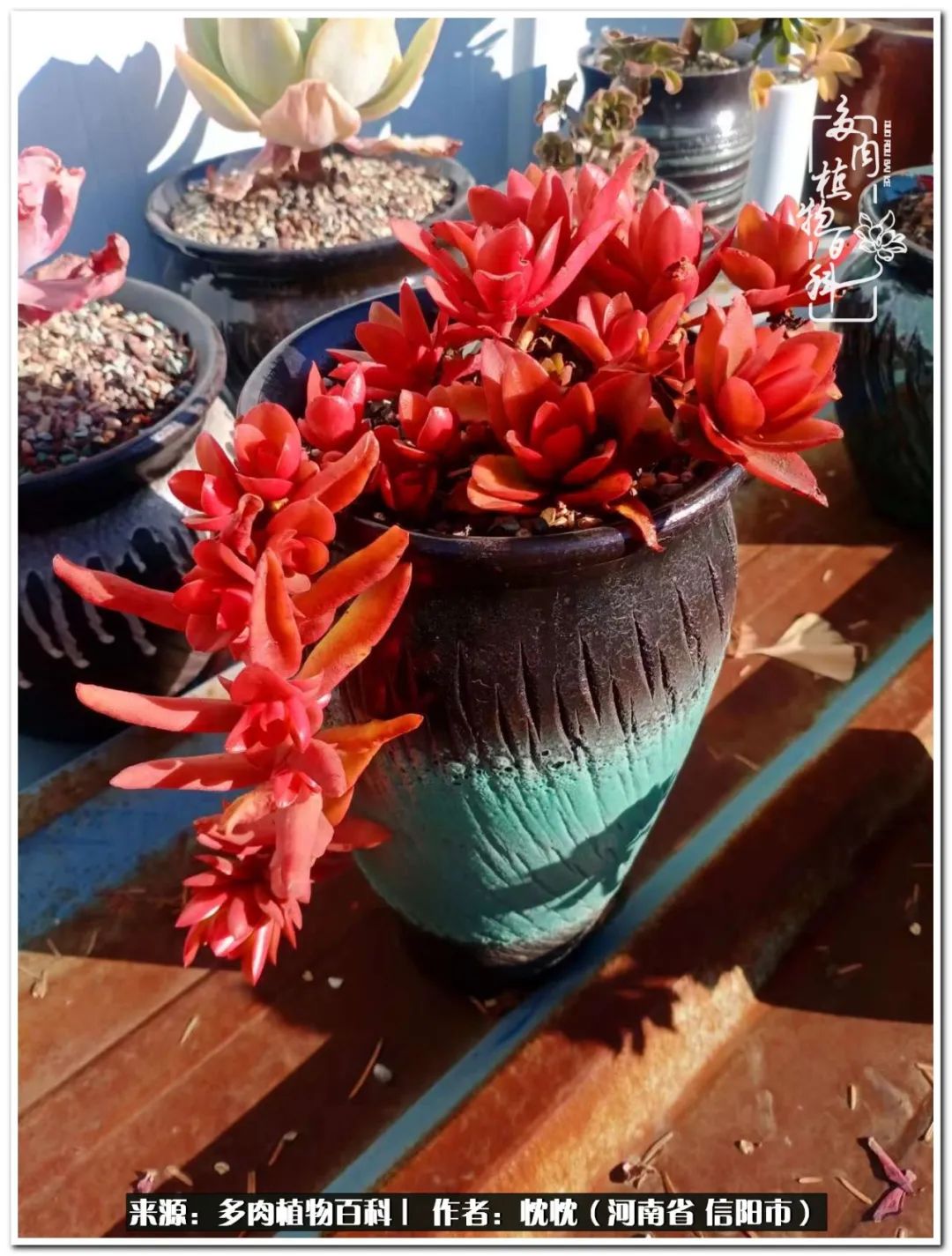 携一人白首择一城终老心之向往,携一人之手择一城终老图片