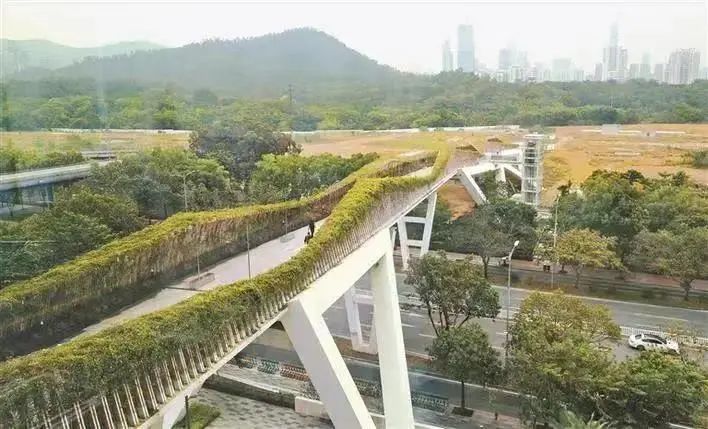 春天去哪儿玩？ABCD四条线路带你“狂飙”福田！