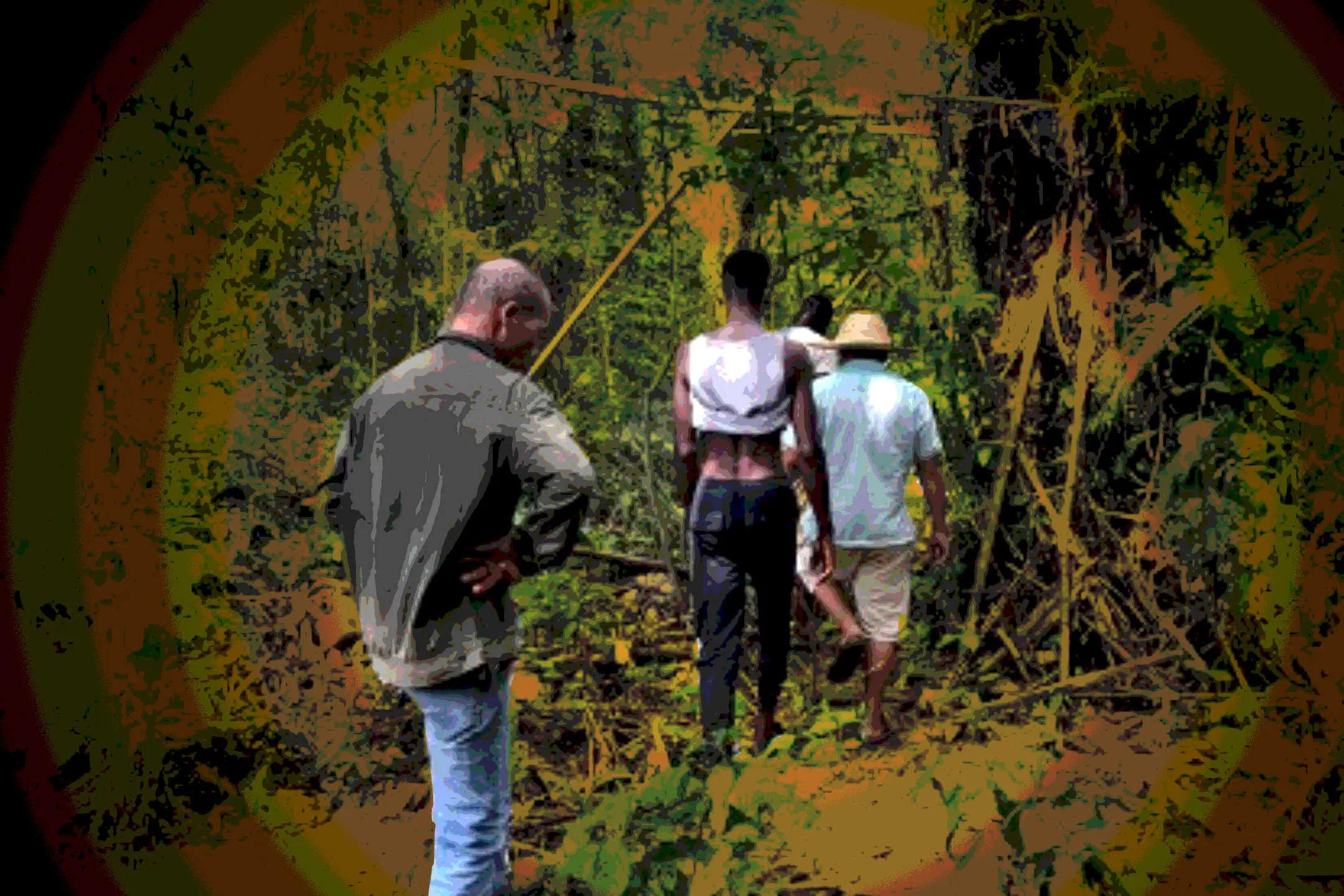 在非洲挖野黄金的中国人：矿工日记（一）