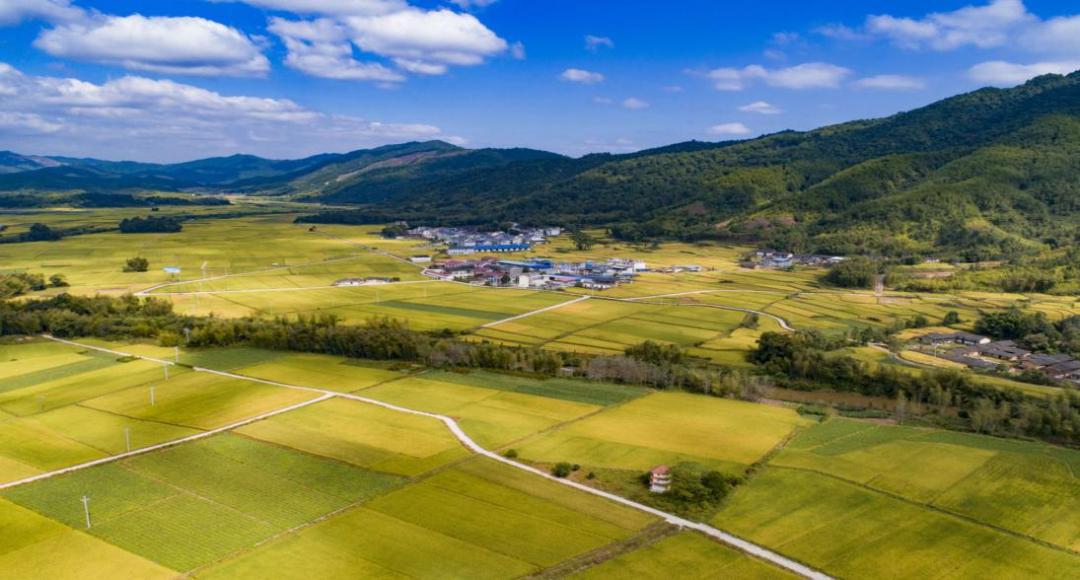 喜迎二十大|三明市以高质量*党**建引领促进乡村振兴，绘就乡村振兴壮美画卷