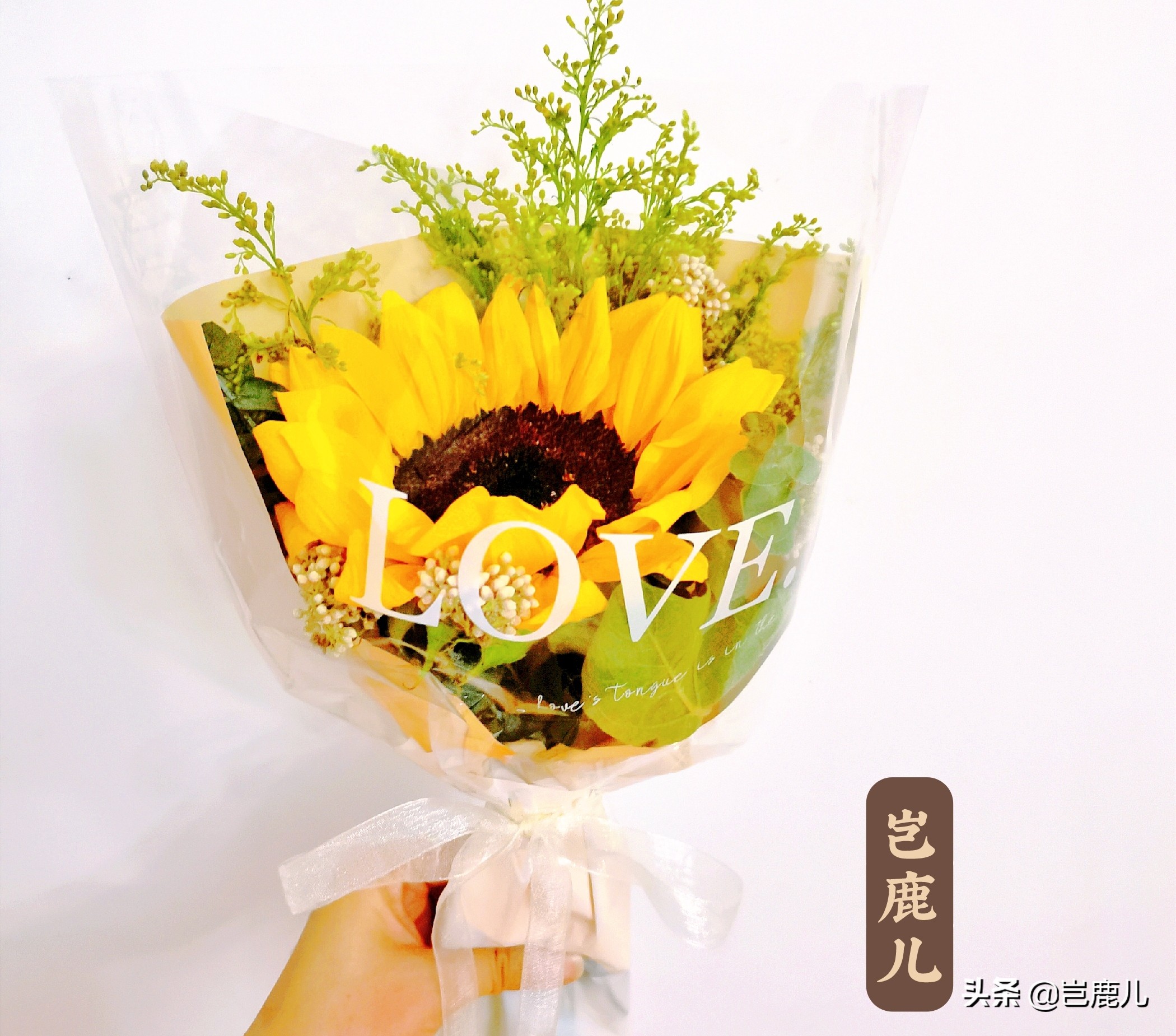 怎样在公众号发文章进行排版,微信公众号排版编辑怎么操作