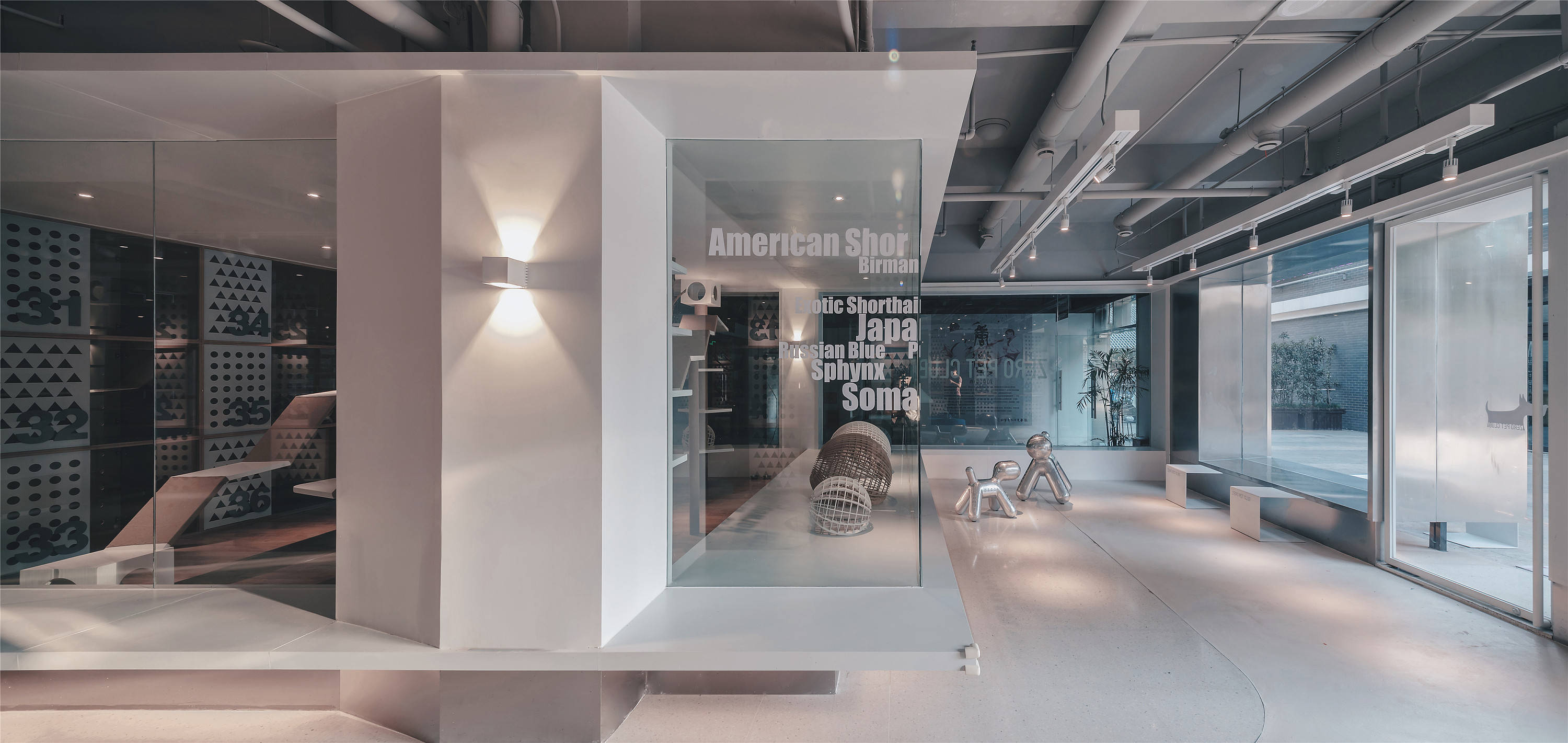 通州宠物店装修设计费用,深圳宠物店设计装修多少钱