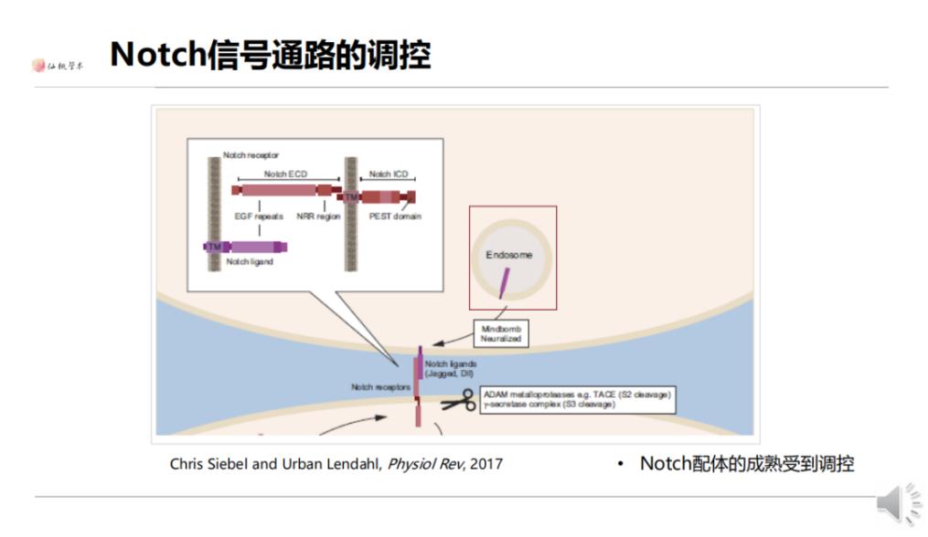 信号通路差异分析,常见的信号通路
