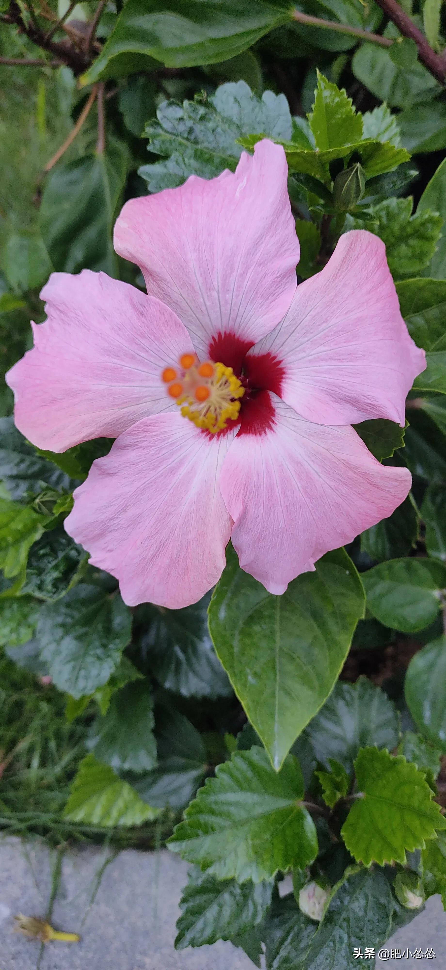 广州免费公园景点大全,广州石门公园门票价格