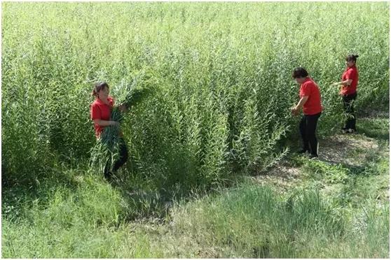 盘点历史女性人物名字,中国古代历史人物大全女性