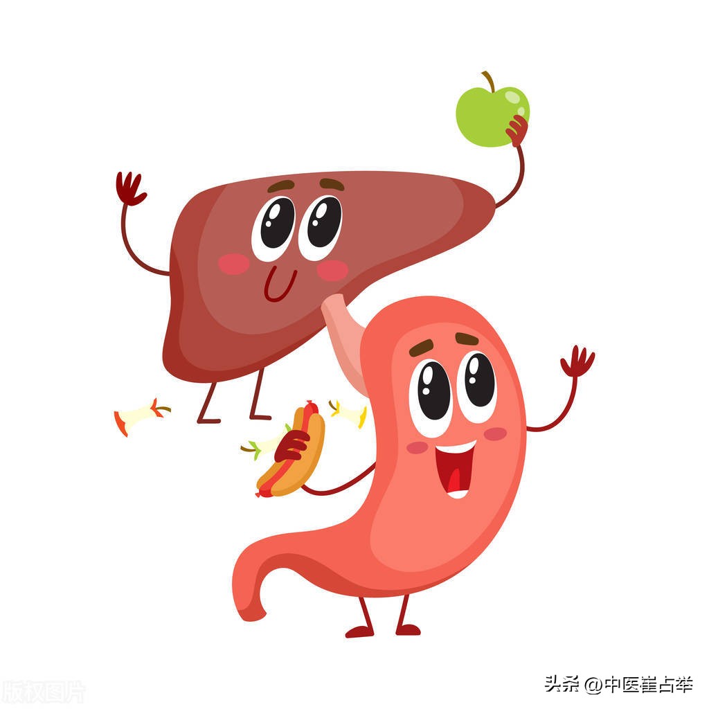 护肝养肝补脾倪海厦,疏肝解郁健脾补肾倪海厦