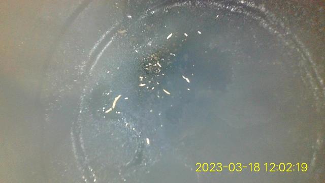 怎么彻底解决烧机油问题,跑高速可以改善烧机油么