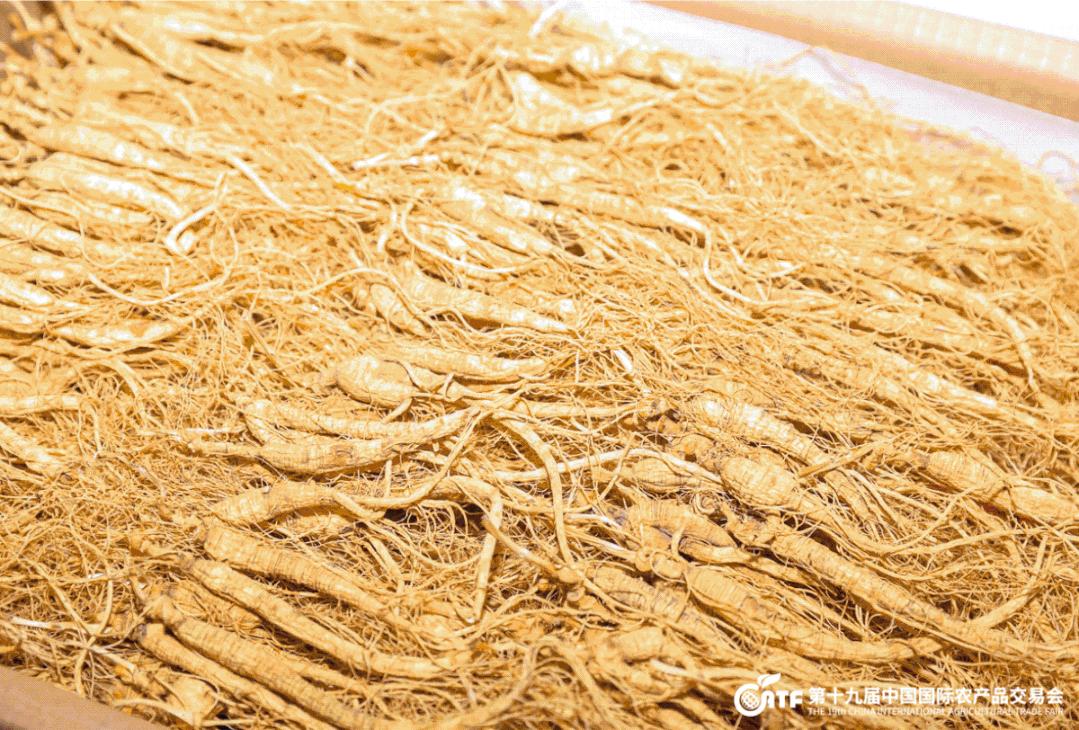 开眼了！西博城那么大的超市你见过吗