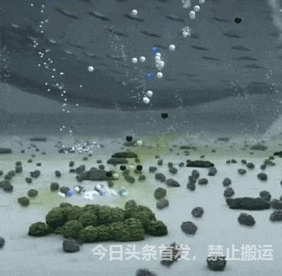 洗衣机隐藏着1个小机关,洗衣机里面的隐藏功能