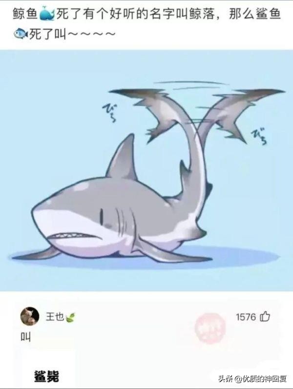 同事总是说要离职怎么回复,同事说要离职了