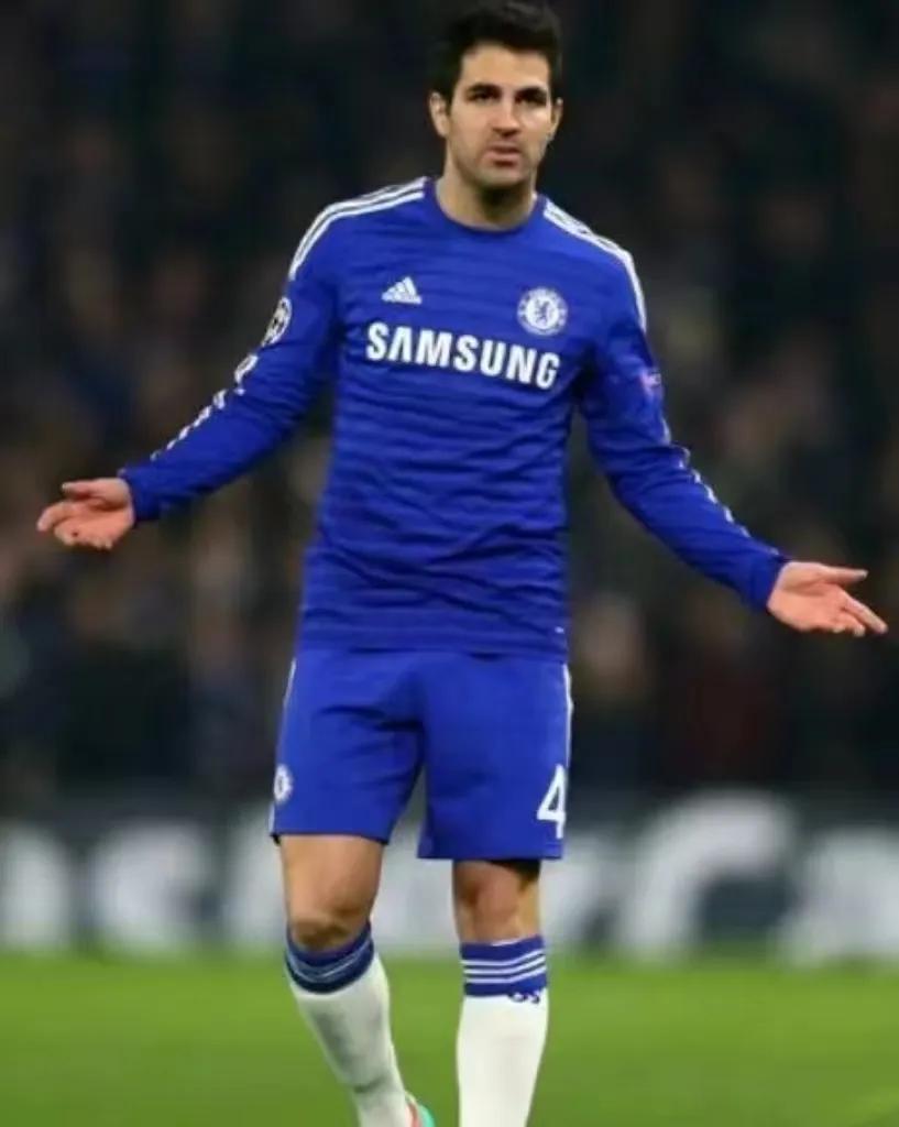 塞斯克法布雷加斯的师傅,法布雷加斯世界杯集锦