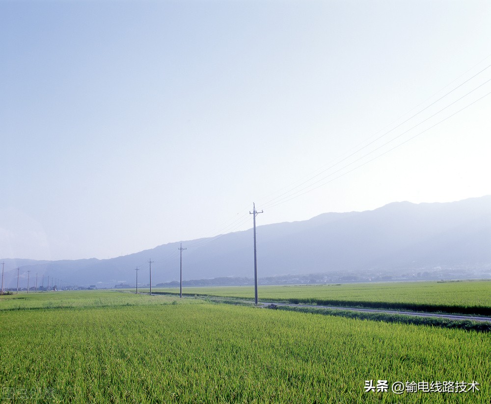 配电变压器结构,配电线路的基本组成元件