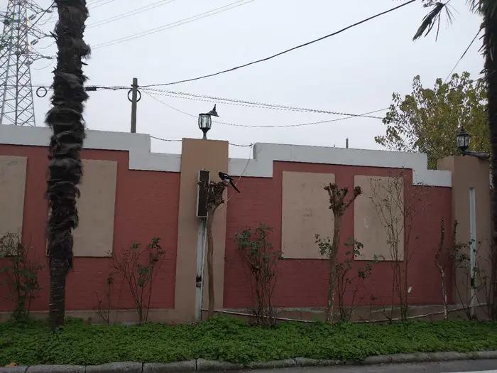 画与景,幼儿长卷画景