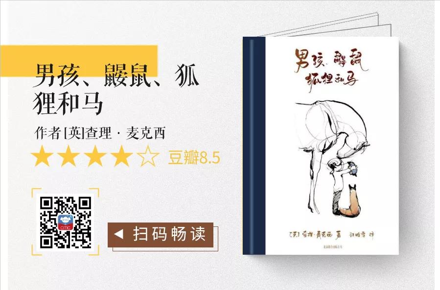 冷门书单推荐100本,目前最值得入手的5本书