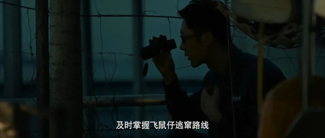 邹兆龙动作片,邹兆龙新动作电影