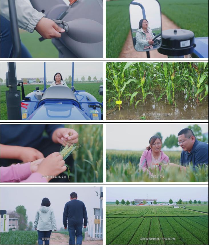 最优质的三农视频文案怎么写,三农视频热门文案素材