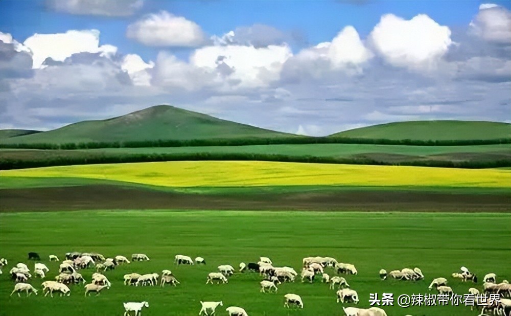 壮美内蒙古鄂尔多斯,内蒙古鄂尔多斯风景