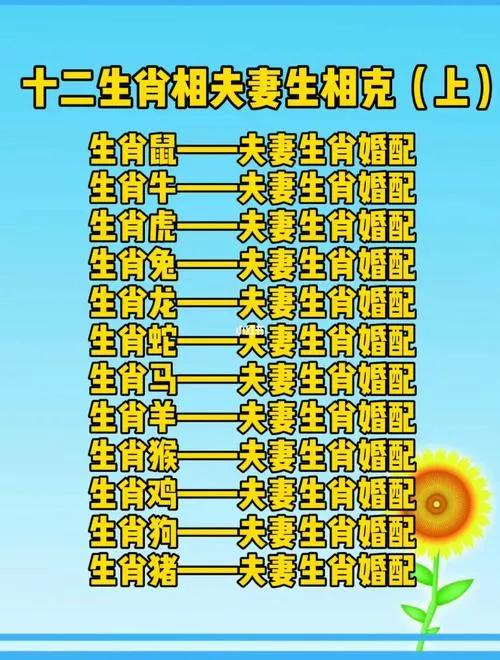 夫妻同一属相好不好,夫妻相同属相好吗