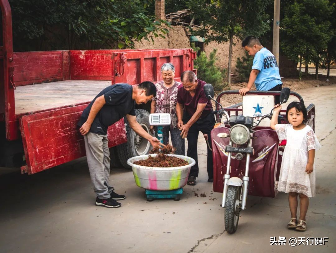汽车投稿作品欣赏,汽车征文获奖