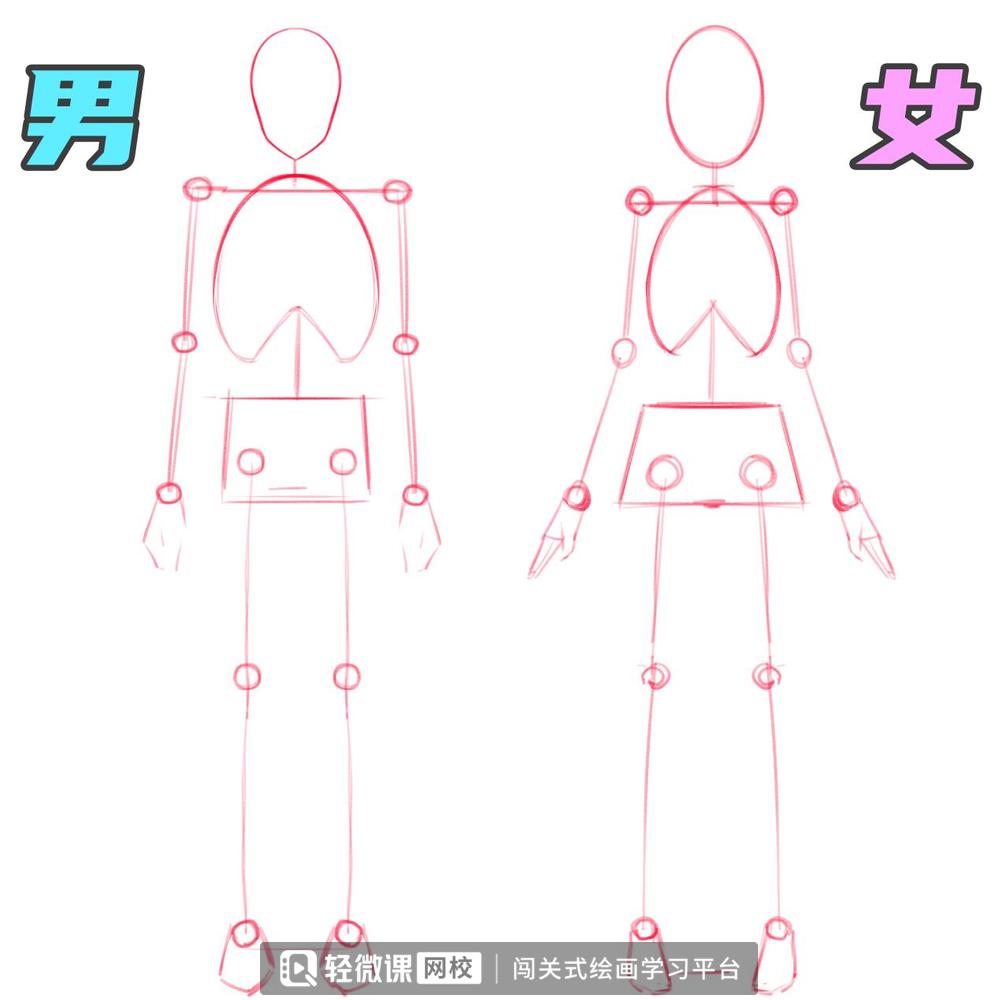 漫画人体结构怎么画好看,动漫人体怎么画简单零基础