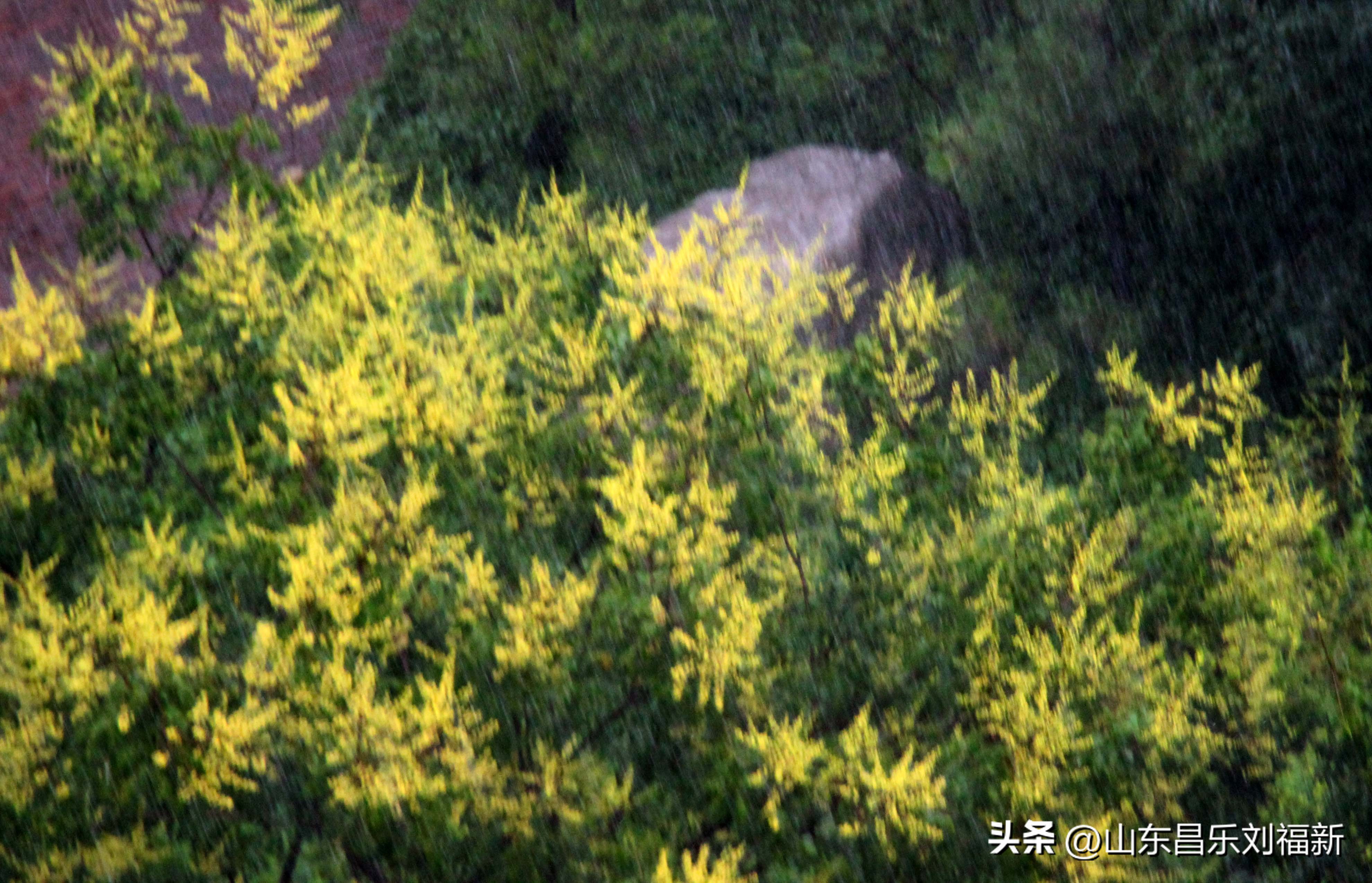 2023年8月20日有雨吗,2021年8月19日有没有下雨