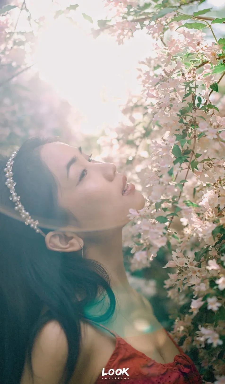 北京居庸关花海栈道,北京四季花海景区