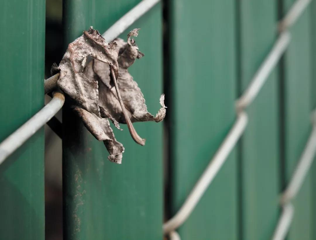 8一张好照片的六个要素,一张好照片最基本元素是什么