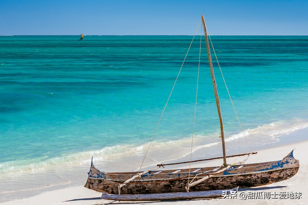 古树有很多东西要告诉我们，人类与古老植物的关系竟然如此密切