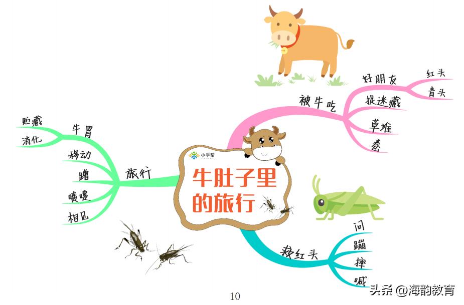 小学语文三年级人教版课文讲解,三年级语文上册部编版课文笔记