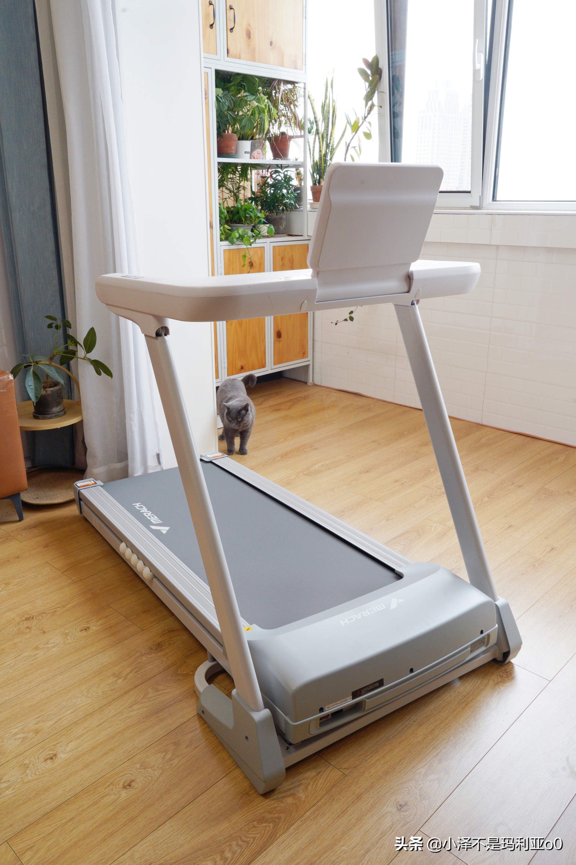 跑步机和家用跑步机的差别,跑步机好还是普通跑步机好