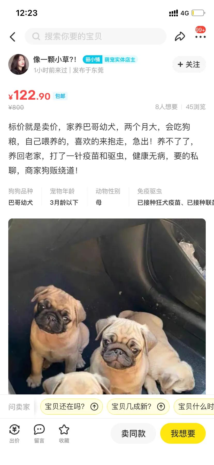 闲鱼买狗要注意什么,闲鱼上买狗狗有保障吗