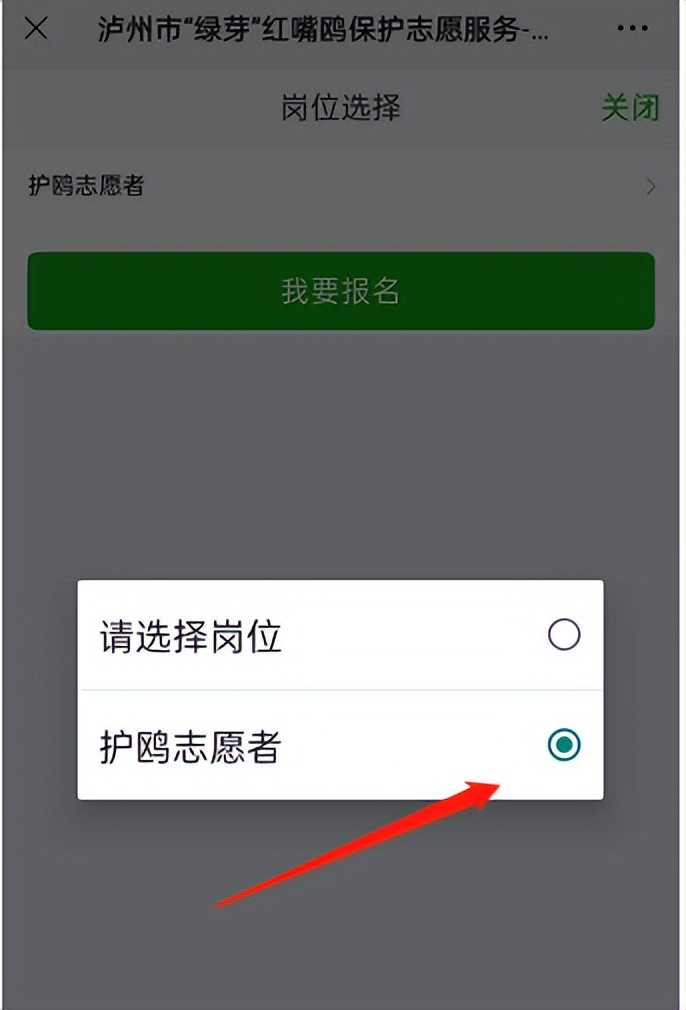 叮~红嘴鸥先头部队已抵泸并向你发出了一份志愿者招募令！