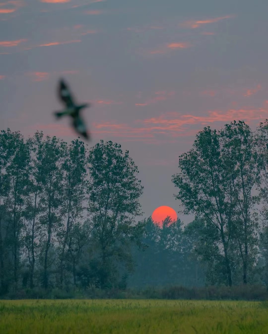 你的微信昵称已经暴露了你的内心,你的微信名代表了你的性格特征