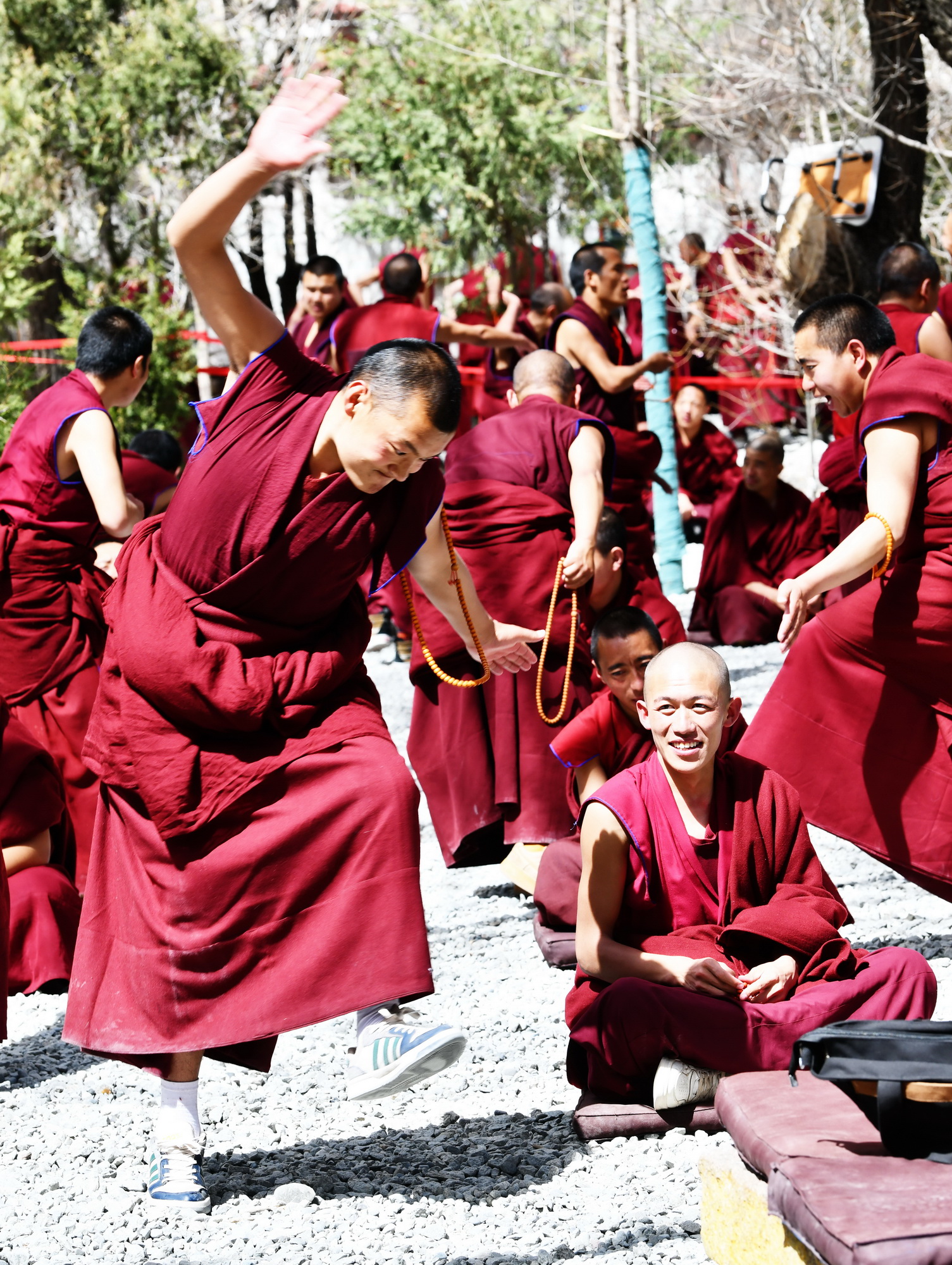 我的林芝一日游攻略,林芝看桃花西藏之旅