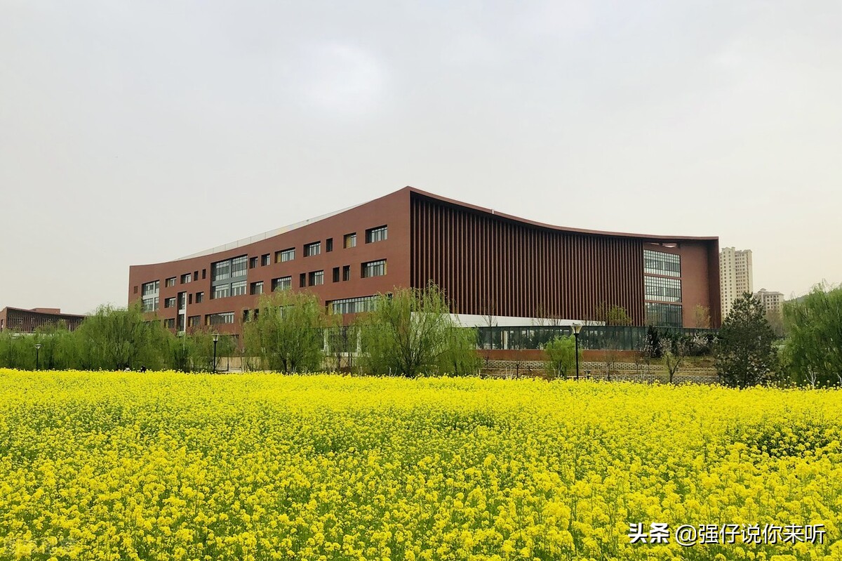 被低估的一本学院,山东省被低估的大学