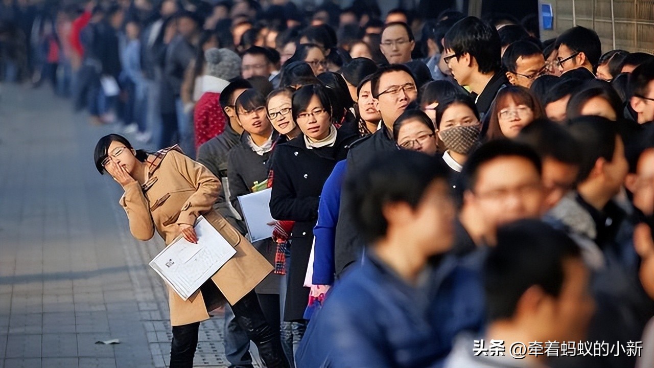 青年失业率高企，突破了20%，毕业生“慢就业”是妥协还是智慧？