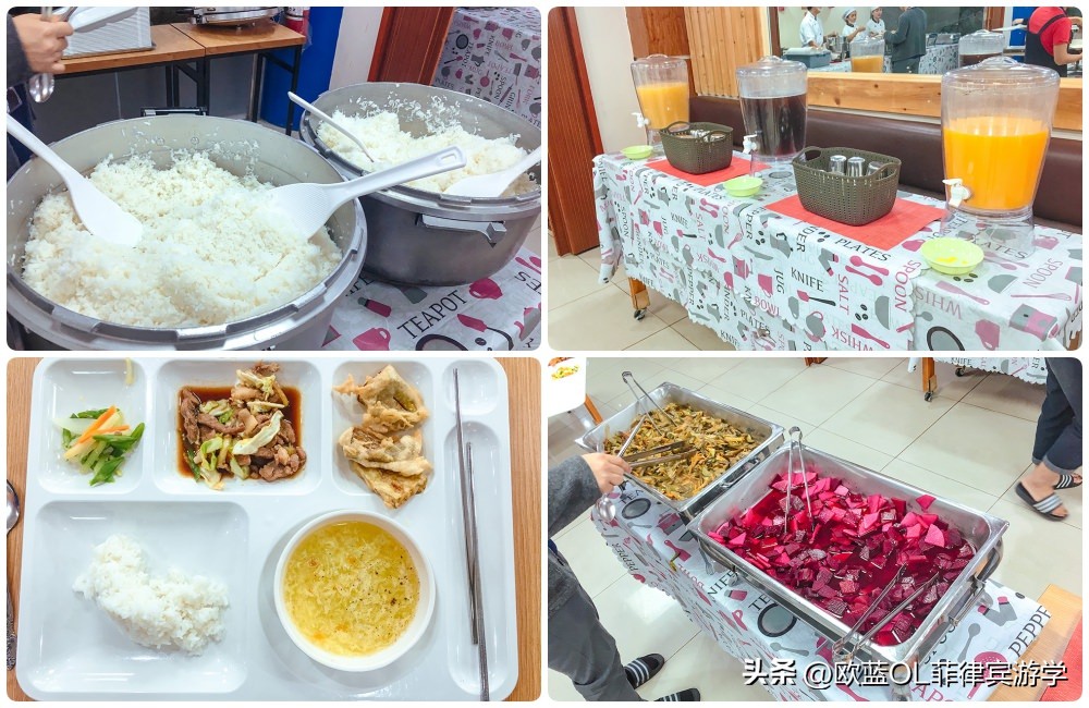 英语游学丨碧瑶Pines被山林环绕的语言学校，校园、住宿环境