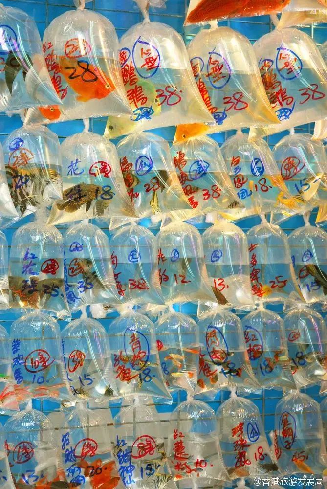 香港美食天堂旺角,香港旺角美食打卡地