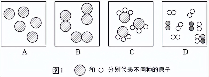 科学知识大全小学生必背,科学知识大全全集
